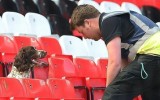 Manchester, allarme allo stadio Old Trafford