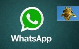 I vostri contatti di WhatsApp sono diventati delle giraffe? Tranquilli, è solo un pegno